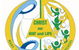Mary Immaculate Parish Primary School - thumb 0