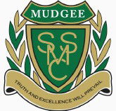 St Matthew's Catholic School Mudgee - Church Find