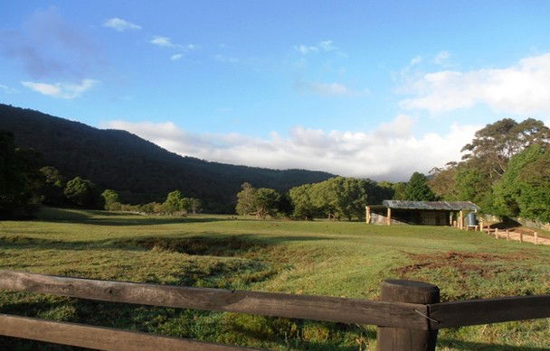 Bungawalbin NSW Church Find