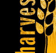 Harvest Christian Fellowship - Church Find