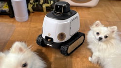 AI robot may stop your dog from barking while you're gone Church Find