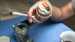 Cannabis cafes may become tourist draw in US city as lung experts cite 'toxic chemical' concerns Church Find