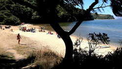 Deadly mystery unfolds as canoeists are found unresponsive after midnight trip Church Find