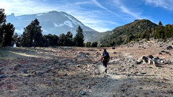 Mount Shasta climber recounts harrowing 500-foot slide, overnight crawl to safety: report Church Find