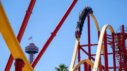 Popular amusement park bans guest for life after roller coaster stunt viral video Church Find