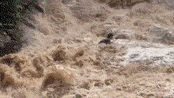 Tourists cling to each other in desperate struggle as raging flood sweeps them down waterfall Church Find